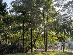 -晓港公园
