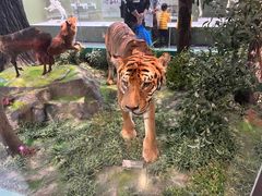 -国家自然博物馆