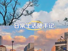 -中山公园