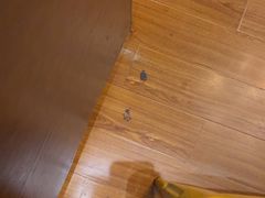 -伯爵·沉浸式超级密室·直营店