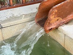 -思念果岭悦温泉