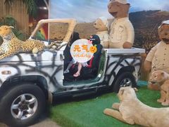 -济州岛泰迪熊博物馆