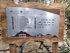 -石老人观光园