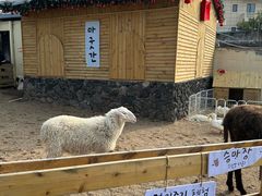 -HERRE·FARM 赫尔露营农场·团建聚会包场