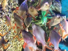 -石林冰雪海洋世界