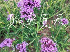 -长白山万达国际度假区