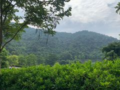 -火炉山森林公园
