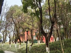 -重庆市江北嘴中央商务区中央公园