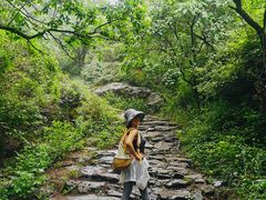 -阳台山自然风景区