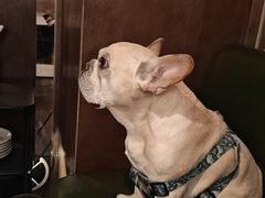 -官也街澳门火锅(新源里店)