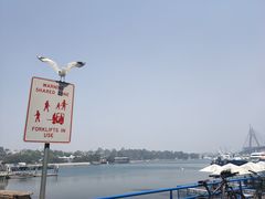 -悉尼鱼市场
