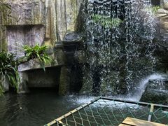 -青青世界