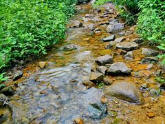 -莫干山风景区