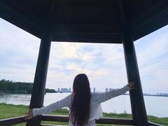 -瑶湖郊野森林公园