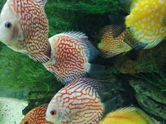 -多彩贵州城极地海洋世界