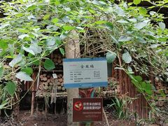 -呀路古热带植物园