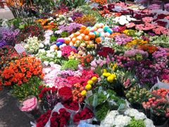-双季花艺园艺市场(浦东店)