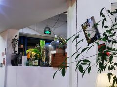-松果猫咖(桐乡吾悦金街店)