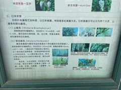 -嘉定紫藤园