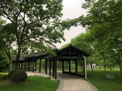 -尚贤河湿地