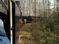 -合肥滨湖国家森林公园