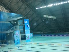 -南京奥林匹克体育中心-体育馆