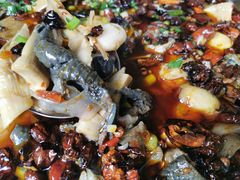 -黑竹香鸡(营和巷店)