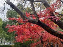 -上海吴淞炮台湾国家湿地公园