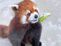 -杭州野生动物世界