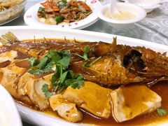 -海洁灌汤包(南五马路店)
