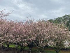 -胖子水煮(铁路三村无任何分店)