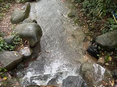 -火炉山森林公园