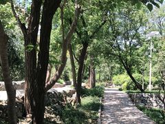 -阳台山自然风景区