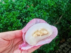 -澳门长洲糯米糍(柯打苏沙街店)