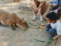 -西霞口神雕山野生动物世界