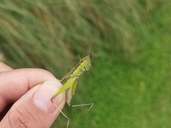 -白鹭湾湿地公园