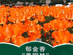 -江南大学(蠡湖校区)