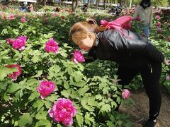 -石家庄市植物园