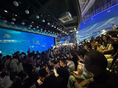 -烟台海昌鲸鲨海洋公园