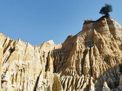 -元谋浪巴铺土林景区