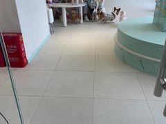 -怪兽屋·羊驼·猫咖·狗咖(俊华广场店)