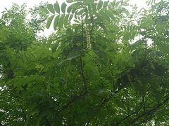 -江南大学(蠡湖校区)