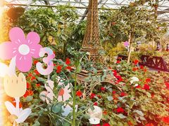 -南宫五洲植物乐园