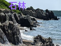 -大连蚂蚁岛度假区