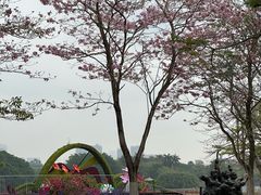 -海珠湖公园