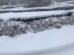 -黑龙江中医药大学