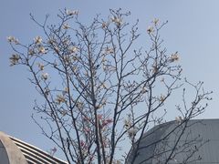 -澹台湖公园