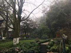 -十八棵（老龙井）御茶园(老龙井店)
