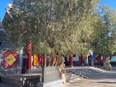 -张掖大佛寺景区