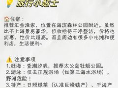 -日照海滨国家森林公园
